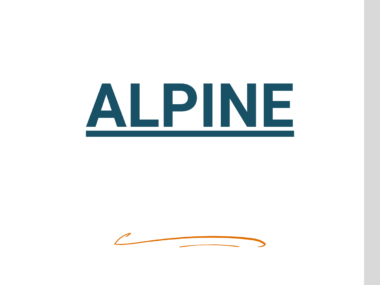 Bache pour ALPINE