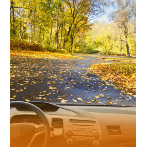 photo d'une route en automne